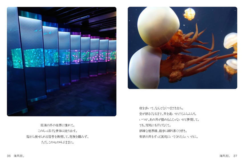 玉響の作品 「海月流し」 | フォトブック・フォト（写真）アルバム作成