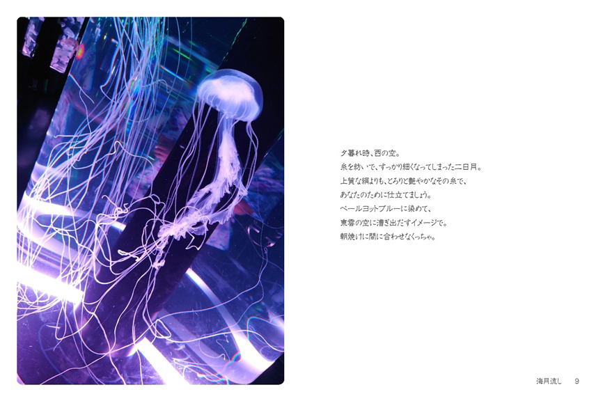 玉響の作品 「海月流し」 | フォトブック・フォト（写真）アルバム作成