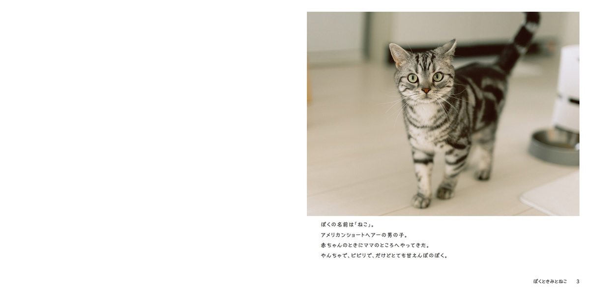 yukiの作品 「ぼくときみとねこ」 | フォトブック・フォト（写真