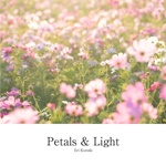 Petals & Light