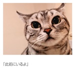 ｢此処にいるよ｣