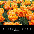 Holland 2004