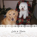 Lulu & Dorin