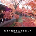 -京都の紅葉を見てきました-
