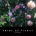 Shine of flower