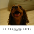 NO CHOCO,NO LIFE！