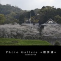  Photo Gallere =散歩道=