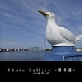 Photo Gallere =散歩道=