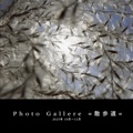  Photo Gallere =散歩道=