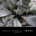 Photo Gallere =散歩道=