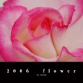 2006  flower