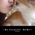 ＋My Favorite’MoMo＋