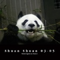 Shuan Shuan 03-05