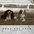 DOGS OFF LEAD