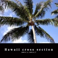 Hawaii cross section