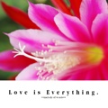 Love is Everything.