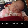 HELLO!! SAKURA NO.3