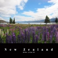 New Zealand