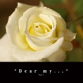   *Dear my...*  
