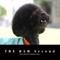 THE RAM Second