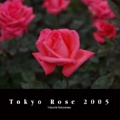 Tokyo Rose 2005