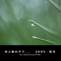 光と影の中で...   2005・秋冬