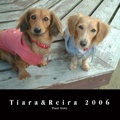 Tiara&Reira 2006
