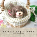 Reity's dog ♪ 2008