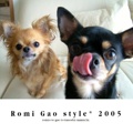 Romi Gao style* 2005