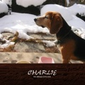 CHARLIE