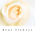 Dear flowers