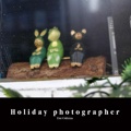 Holiday photographer