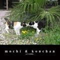 mochi & kouchan