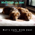 Mel's Cafe with Juni