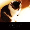 Vol.7