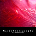 MacroPhotography