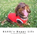 BASIL's Happy Life