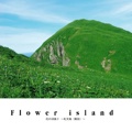 Flower island 