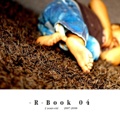     -R-Book 04    