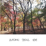 Autumn　Seoul　2014