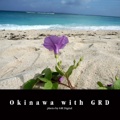 Okinawa with GRD