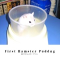 First Hamster Puddng