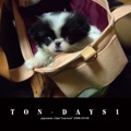 TON-DAYS1