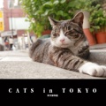 CATS in TOKYO