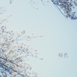 　　　　桜色　