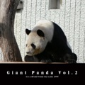 Giant Panda Vol.2