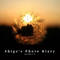 Shige's Photo Diary