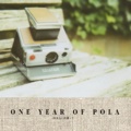 ONE YEAR OF POLA
