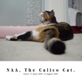 NAA, The Calico Cat.