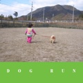 DOG RUN